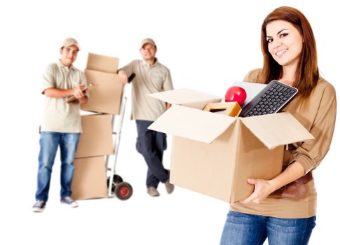 Professional van-based moving support in Roehampton