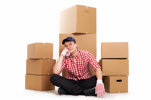 Selection of sturdy moving boxes for household packing